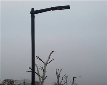 市電道路路燈-陜西省安康市滬康酒業(yè)有限公司路燈項目